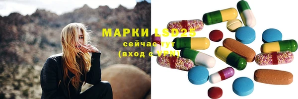 ГАЛЛЮЦИНОГЕННЫЕ ГРИБЫ Слюдянка