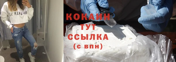 mix Снежногорск