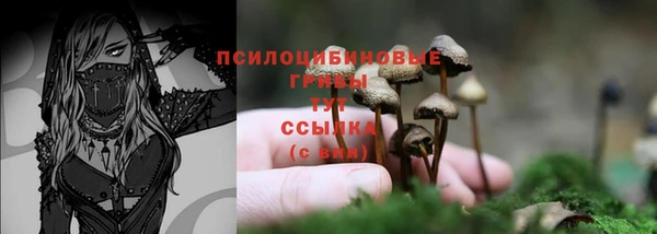 ГАЛЛЮЦИНОГЕННЫЕ ГРИБЫ Слюдянка
