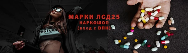 ГАЛЛЮЦИНОГЕННЫЕ ГРИБЫ Слюдянка
