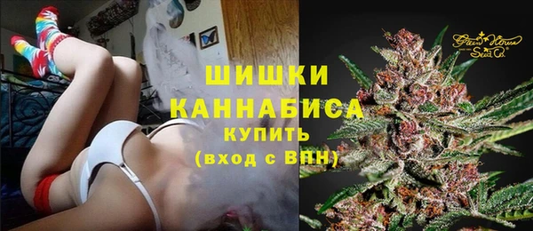 ГАЛЛЮЦИНОГЕННЫЕ ГРИБЫ Слюдянка