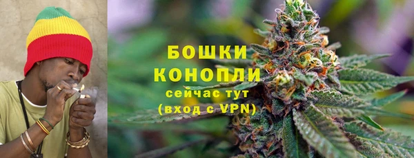 mix Снежногорск