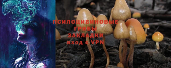 мет Снежинск